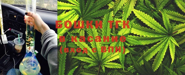 дживик Долгопрудный