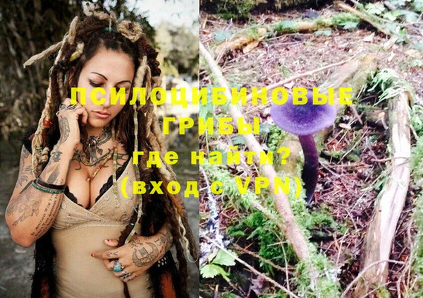 гидропоника Новодвинск