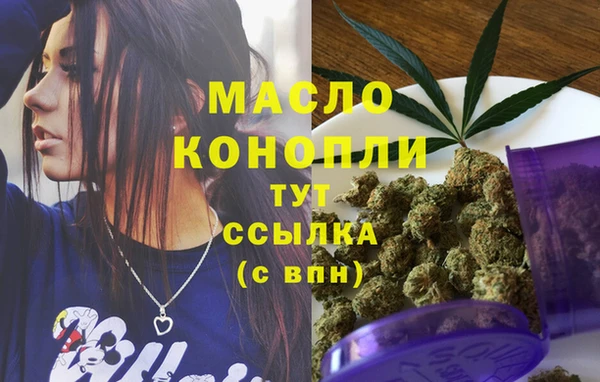 спиды Новозыбков