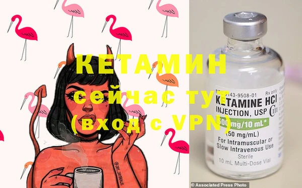спиды Новозыбков