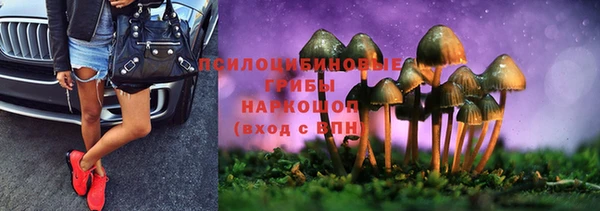 марки nbome Новый Уренгой