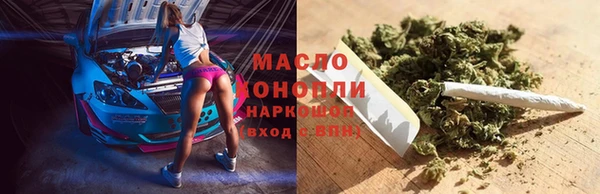 спиды Новозыбков